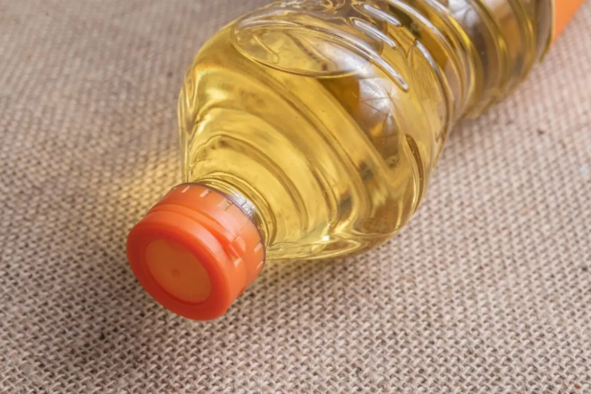 Raj Oil Mills Share Price Target 2025 to 2030