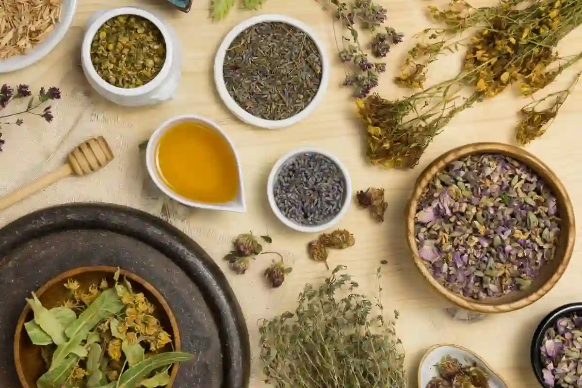 Rajnish Wellness Share Price Target 2025 to 2030